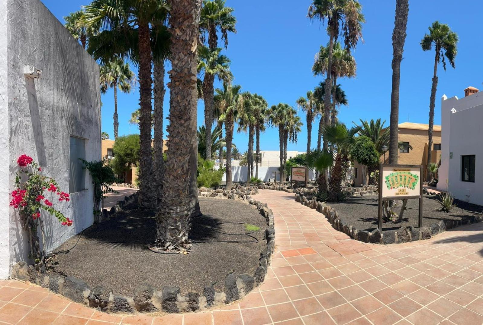 Apartamentos Gala Corralejo Exteriör bild